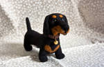 dachshund by znmystery