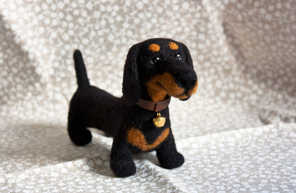 dachshund