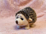 hedgehog by znmystery