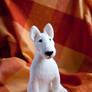 white bullterrier