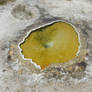 Geyser Hole