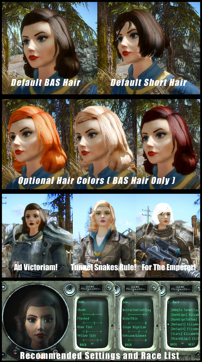Elizabeth Race Mod for Fallout 3 (v. 1.4.1) by JackLee19 on DeviantArt