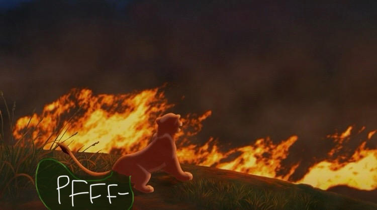 Fire Poop Animation Kiaras Poop in the Fire by NalaandKiarafarting on DeviantArt