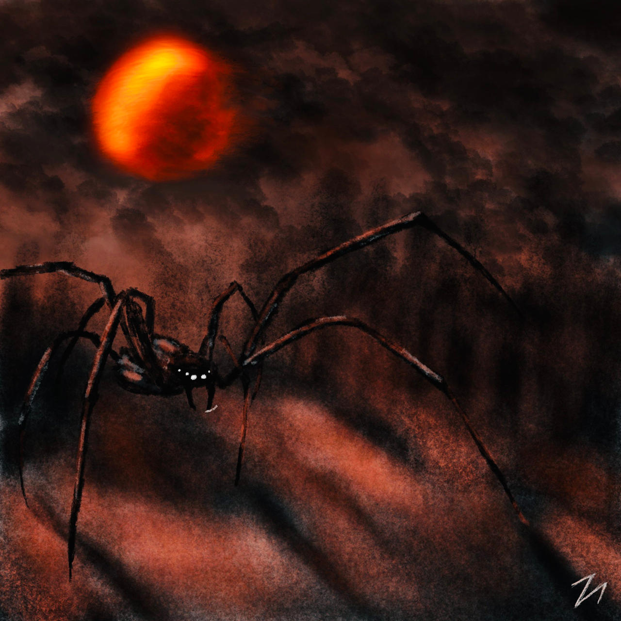 Deviantart Spider Spiders by DarkoDraven on DeviantArt