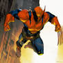 Wolverine + Deathstroke Amalgam