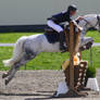 Show Jumping 8