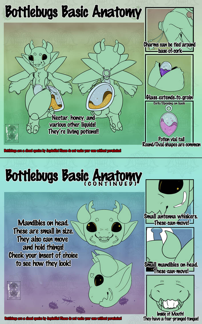 01 Bottlebugs Basic Anatomy! by Jayded-Oni on DeviantArt