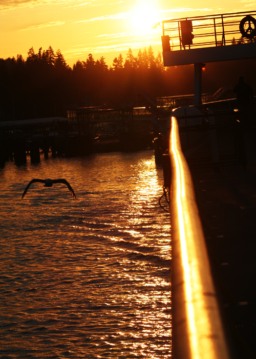 Ferry at Sunset