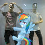 Rainbow Dash XD