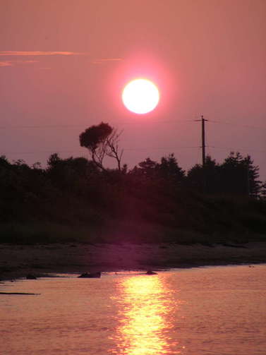 Beach Sun