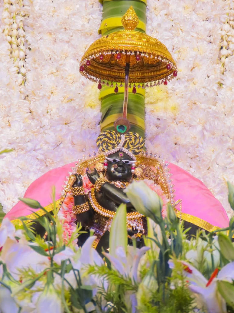 shri radha raman ji temple by shriradahramanjee on DeviantArt