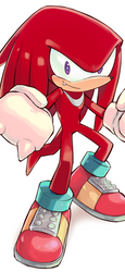 knuckles by sujinee