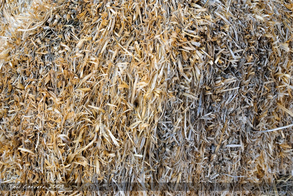 Rural Textures No. 2 by outlyer
