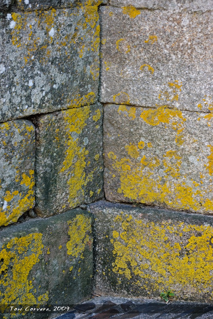 Rural Textures No. 3 by outlyer
