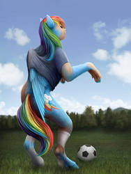 Rainbow Dash TF