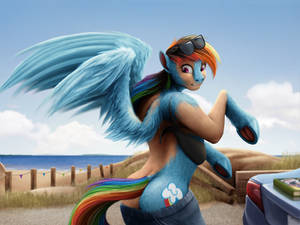 Rainbow Dash TF