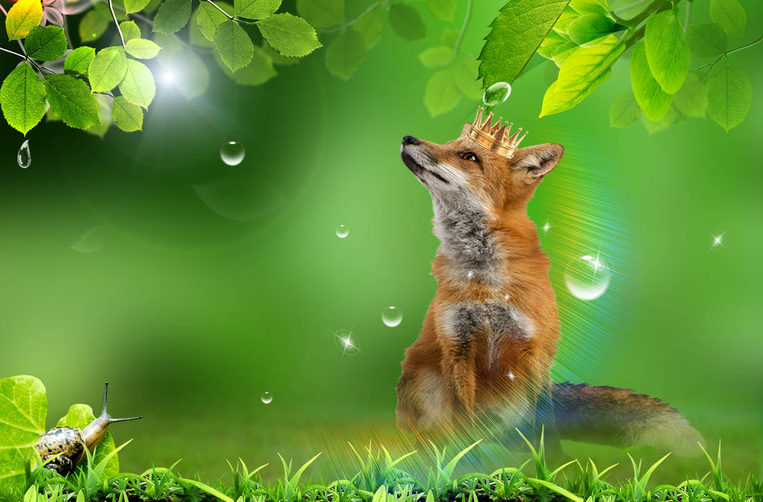 Fox Princess by kubines on DeviantArt