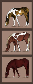 New horses Coming to a new stables