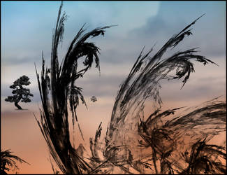 Through the Dune Grass