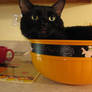 Candy Bowl Cat