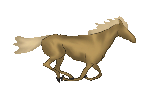 Galloping Horse Animation by BleedingBumblebee on DeviantArt