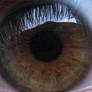 my eye