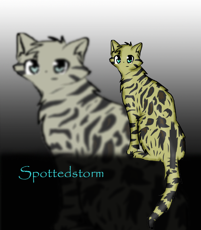 Spottedstorm Unlimited