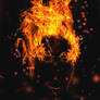 The Fire Inside -Hades-