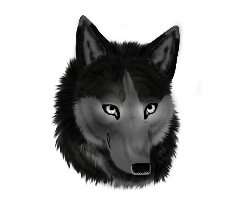 Blackclaw by SironaWolf on DeviantArt