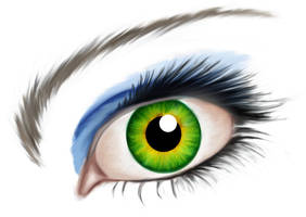Eye