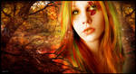 Autumn Amber by skate07