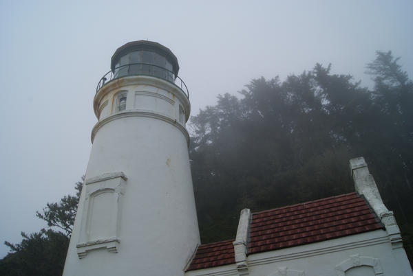 heceta lighthouse