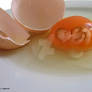 Egg baby