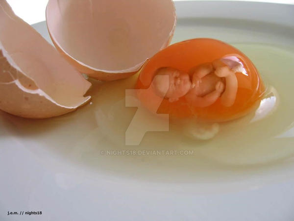 Egg baby
