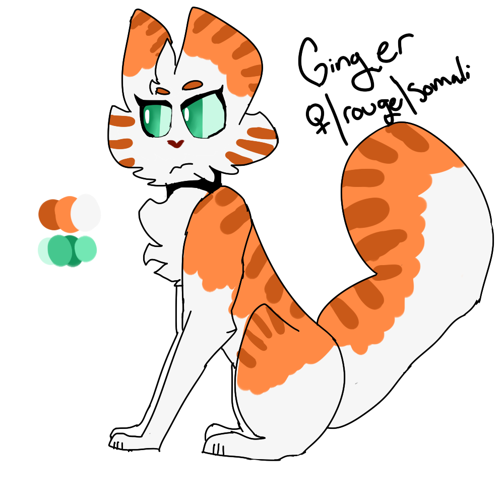 Ginger (new warriors oc)