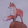 Watchful eye (fox watercolour)