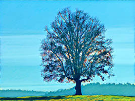 Tree 20180225 123057