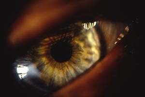 3x 003 EYE