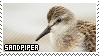 Sandpiper stamp