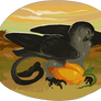 nightingale || pumpkin patch 4