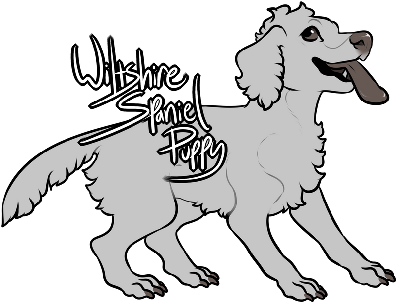 Wiltshire Puppy Lines