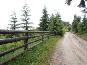 Mestecanis Cottage - Suceava, Romania 6