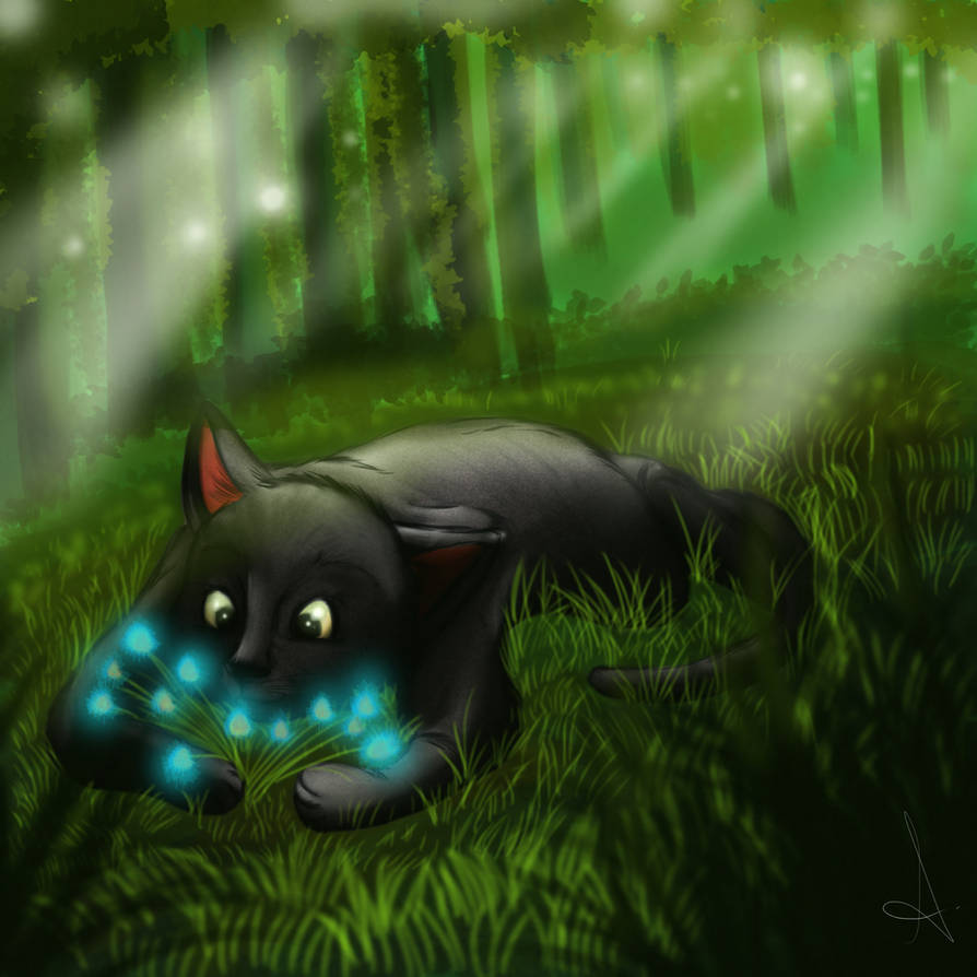 Poupine by Zoba22 Poupine by Zoba22