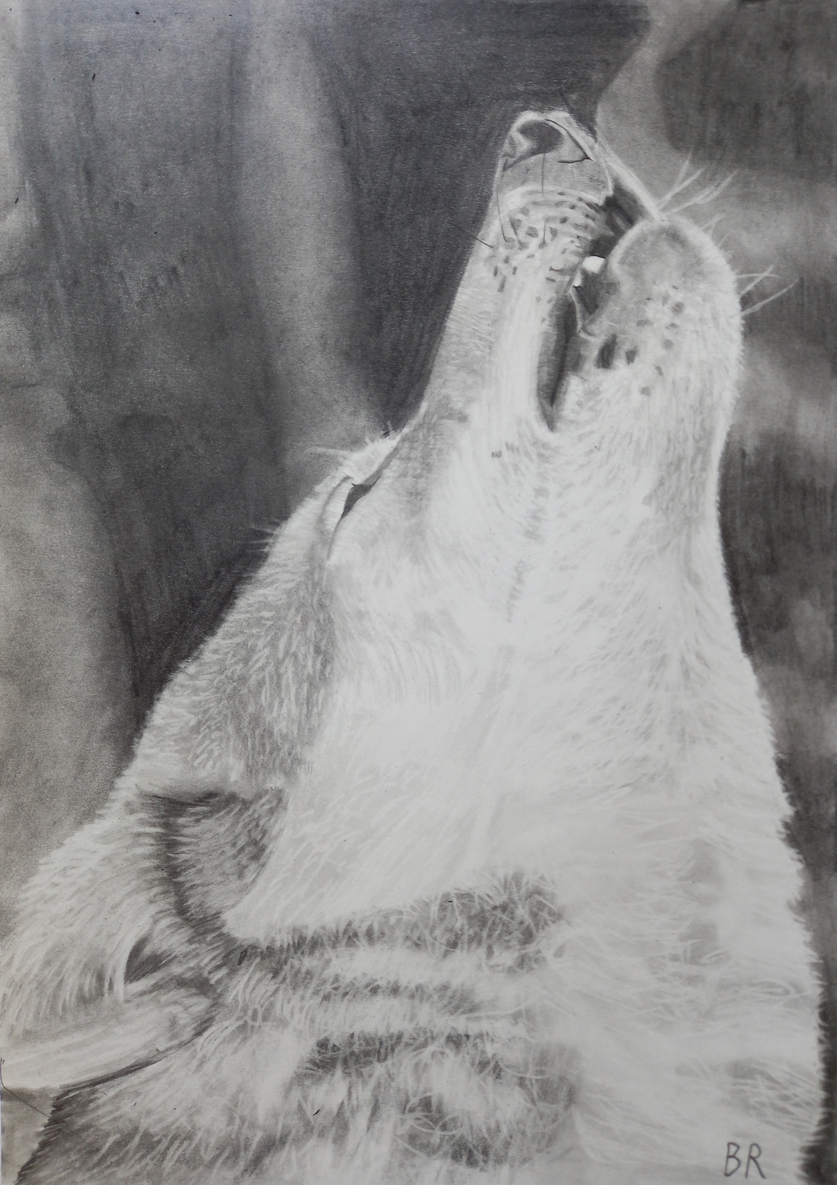 Wolves Graphite Drawing Howling wolf drawing graphite pencils by Bozhko98 on DeviantArt