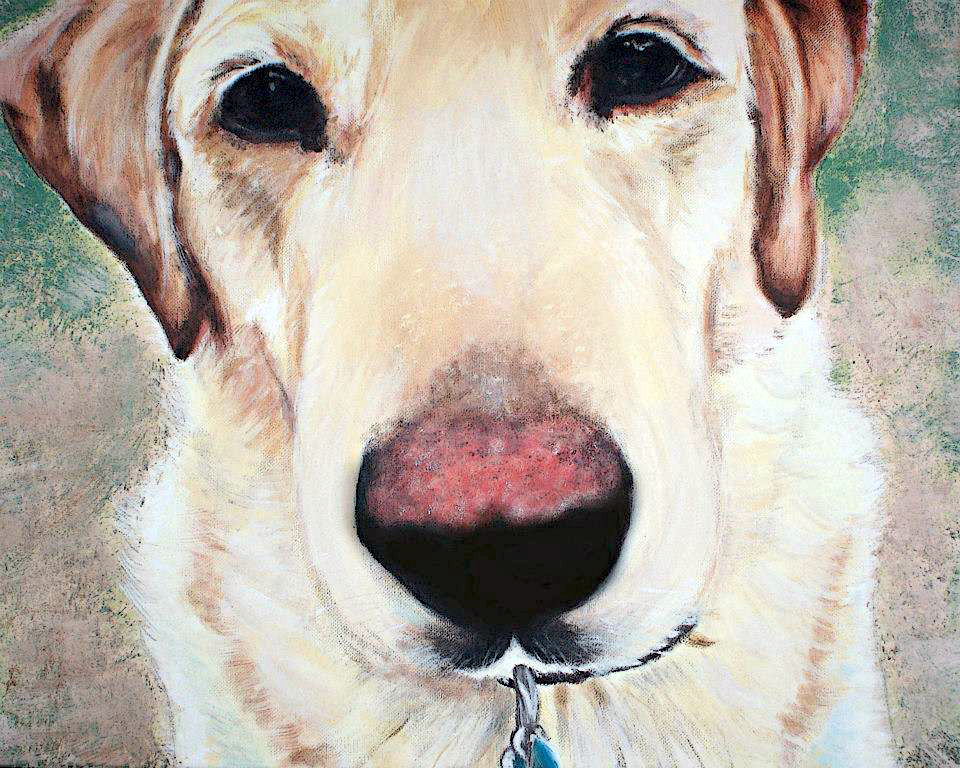 Labrador Acrylic Painting Of Maggie