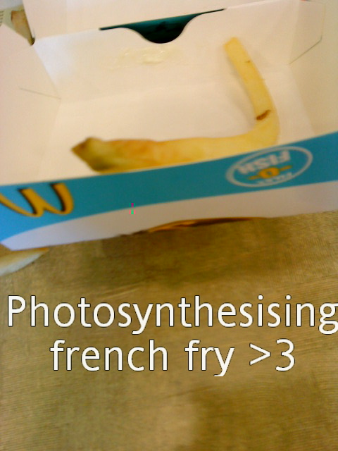 PHOTOSYNTHESISING FRENCH FRY