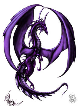 Shadow Dragon