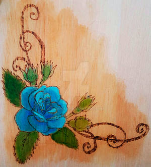 Blue rose