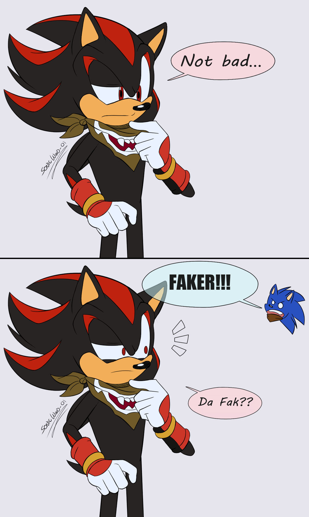 Faker by SonicWind 01 on DeviantArt Faker by SonicWind 01 on DeviantArt