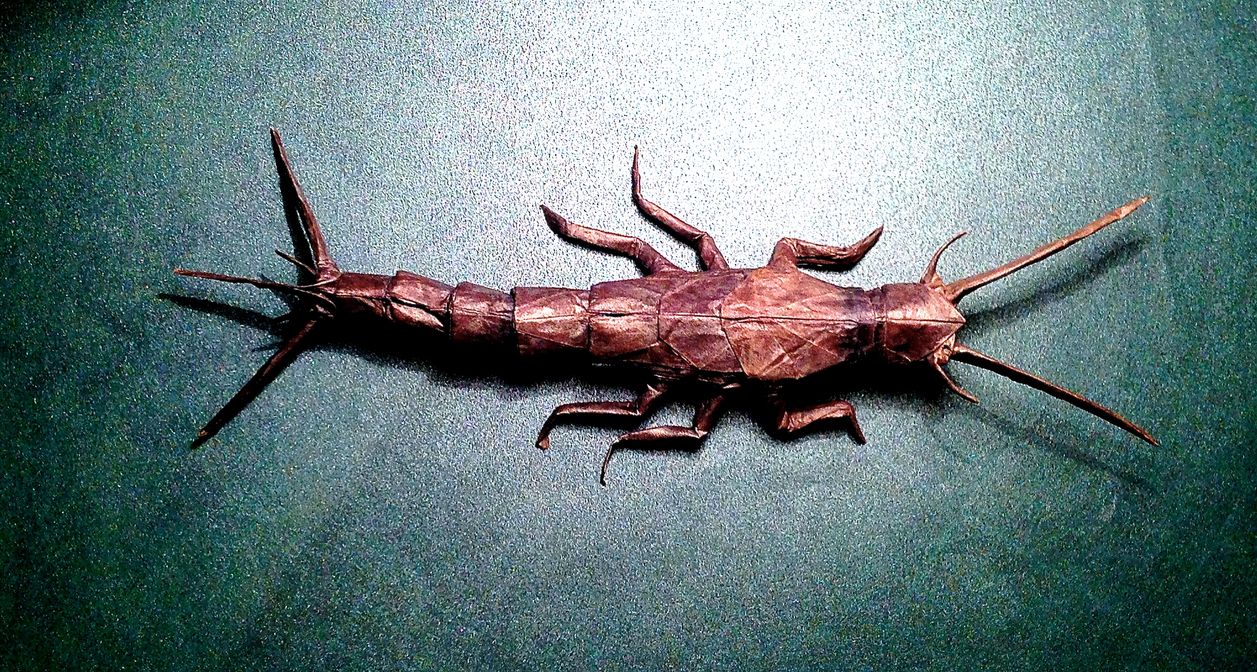 Silverfish - Robert Lang.
